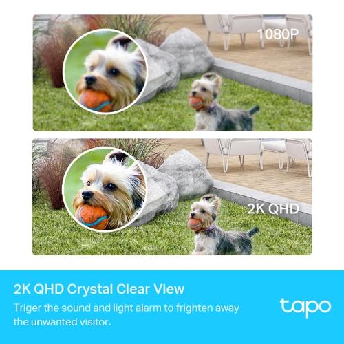 TP-Link Smart Wire-Free Security Camera 2 Camera System: 2 x Tapo C420 1 x Tapo H200