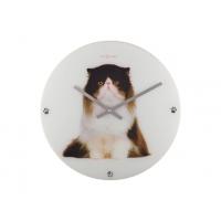 NeXtime klok 8138 Sylvester, Ø43 cm, Wand, Wit/ Zwart