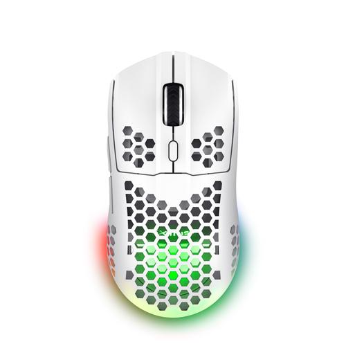 Trust GXT 929 Helox muis Gamen Rechtshandig RF Draadloos Optisch 4800 DPI