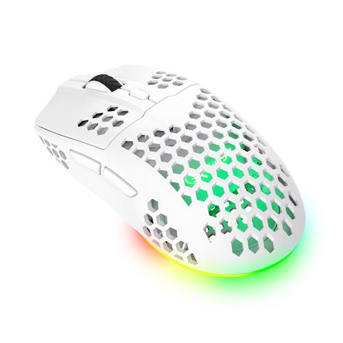 Trust GXT 929 Helox muis Gamen Rechtshandig RF Draadloos Optisch 4800 DPI