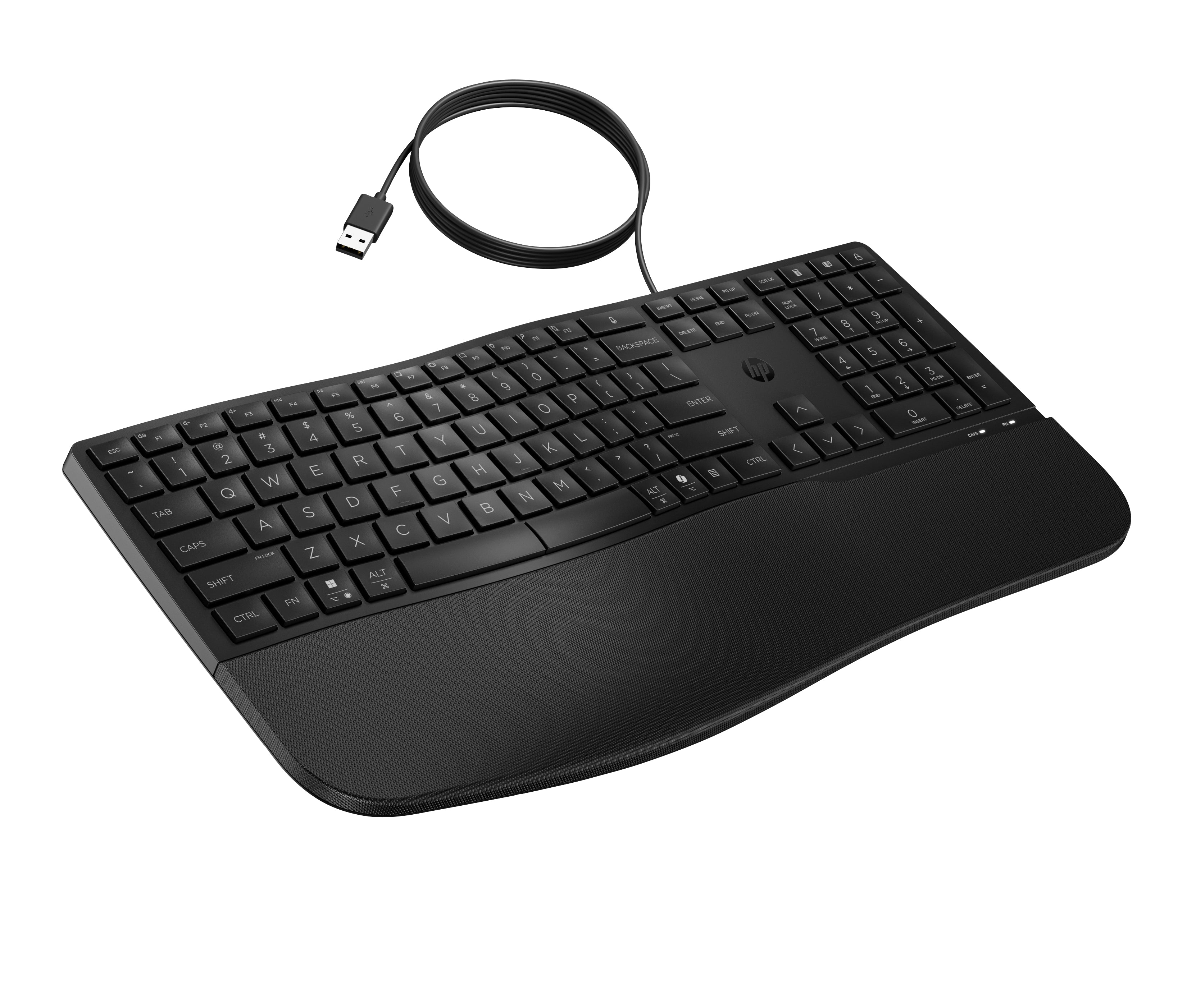 ACC: HP 485 CFT Wired Keyboard