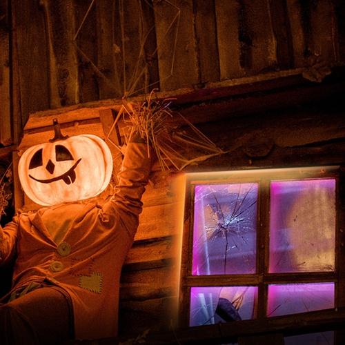 TP-Link Smart Light Strip  Multicolor