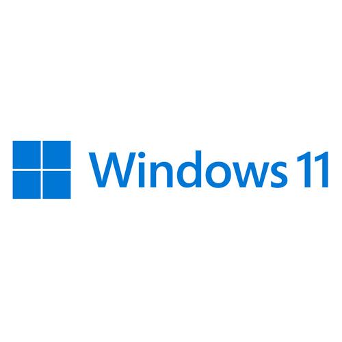 Microsoft Windows 11 Pro OEM