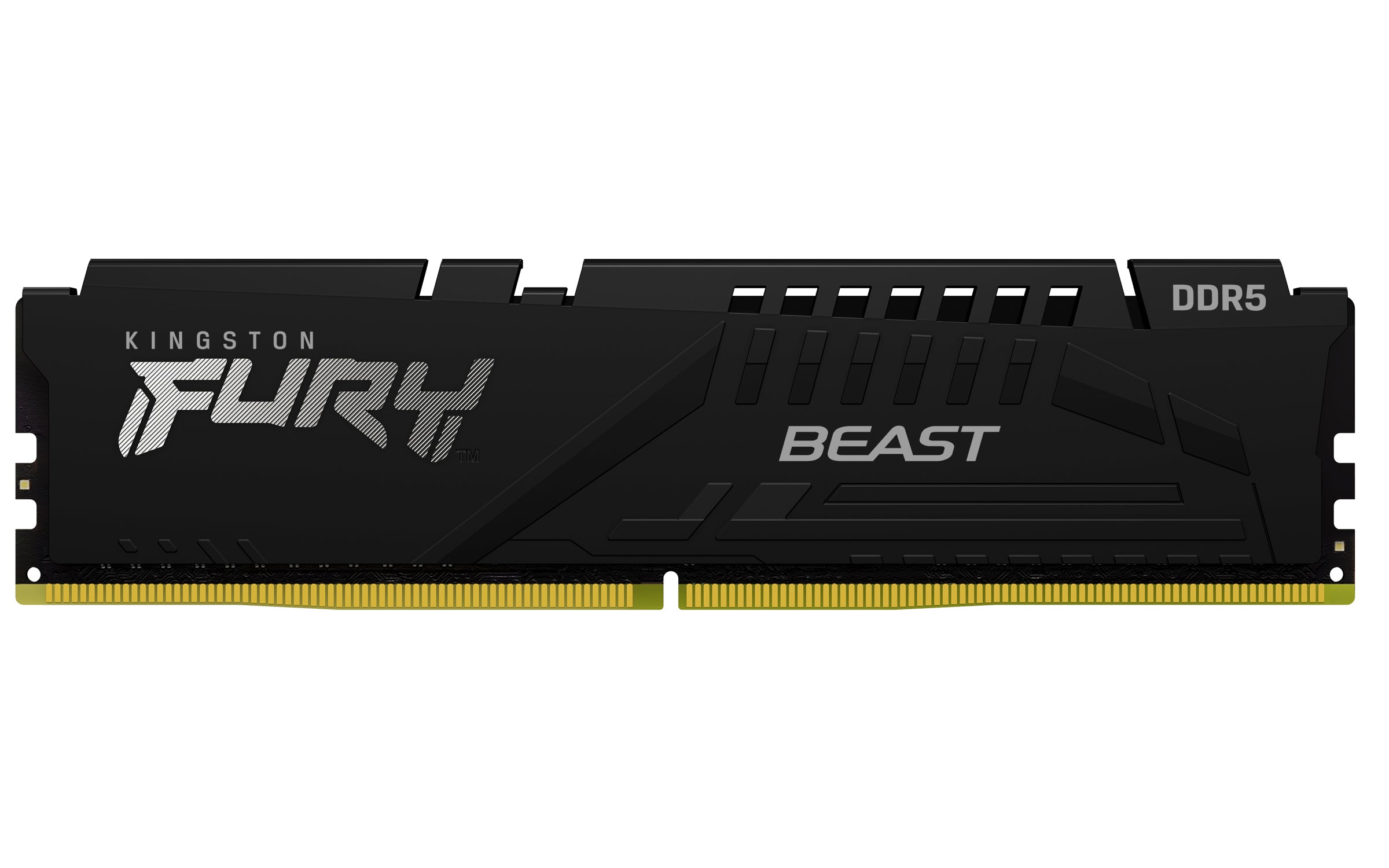 32GB 6000MT/s DDR5 CL30 DIMM (Kit of 2)FURY Beast Black EXPO