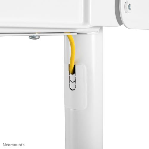 Neomounts Neomounts Mobile Flat Screen Floor Stand (height: 160 cm)